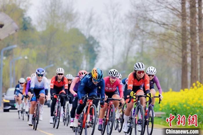 2025成都天府绿道车迷赛首站落幕 油菜花田见证自